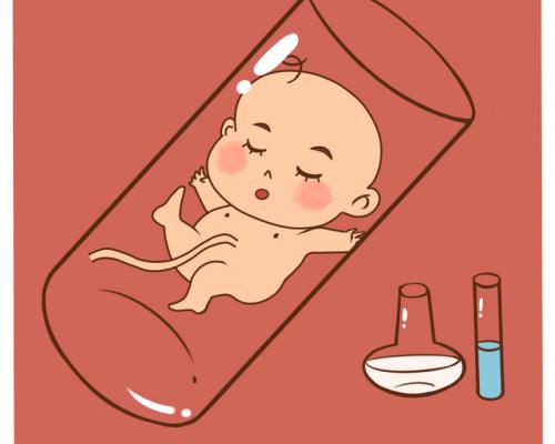 婴儿成长