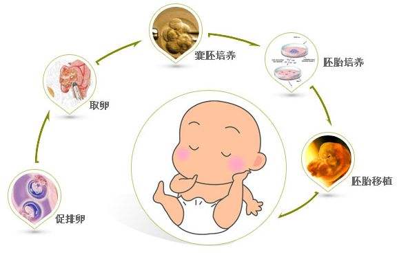 婴儿发烧
