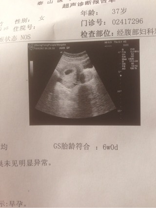 2024龙宝宝