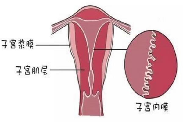 怀孕
