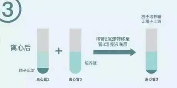 怀孕图片试纸