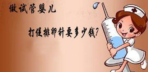 孕期显怀