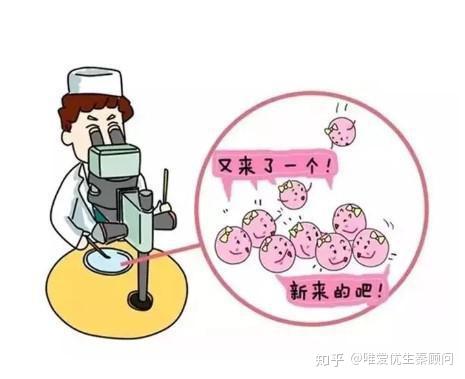 怀孕12周胎儿高清图