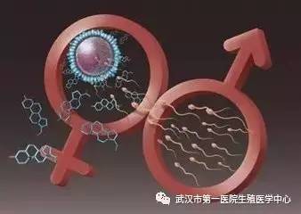 怀孕