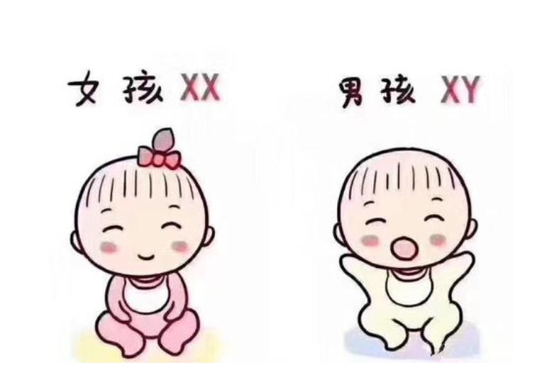 孕13周