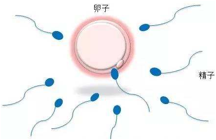 0-3个月