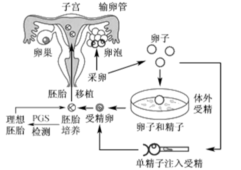 1到3岁育儿知识大全早教