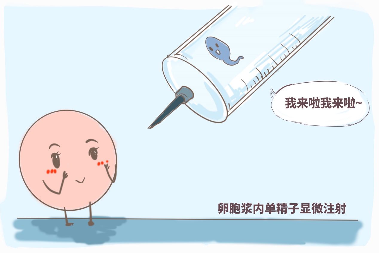 0到6个月新生儿补什么
