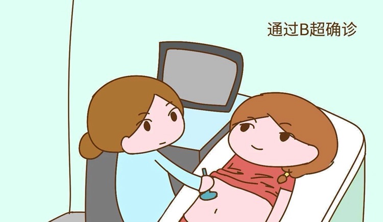胎儿发育