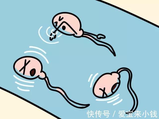 宝宝成长
