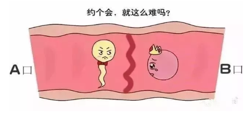 12岁女孩