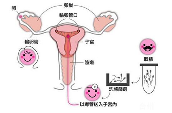 怀孕