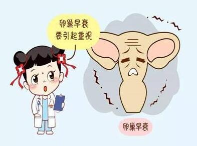 婴儿首次发烧