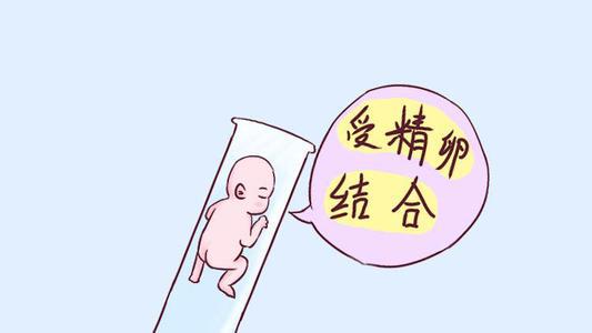 0-3个月