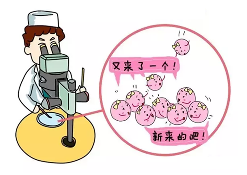 生女儿