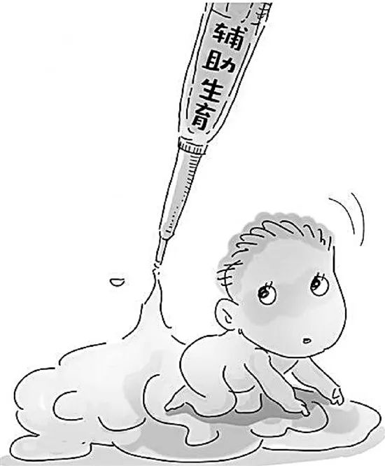 胎儿发育
