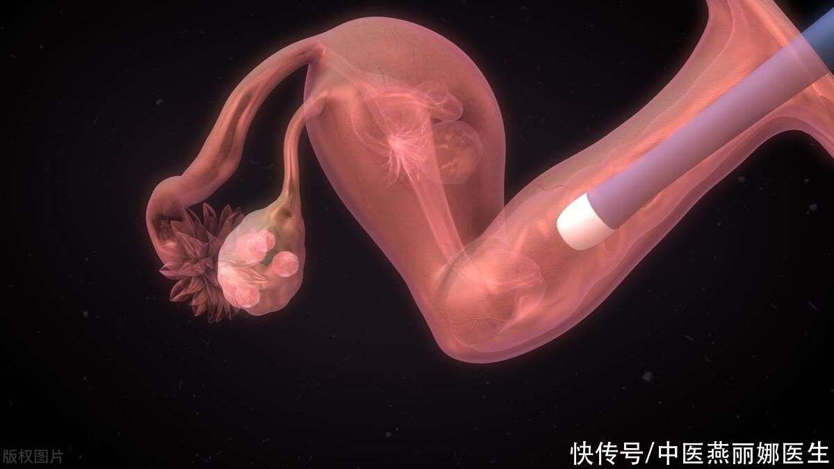 15周男宝女宝器官区别图