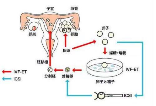 青少年怀孕