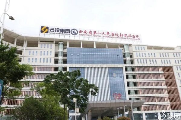 怀孕了15周