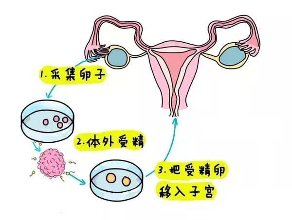 十五岁