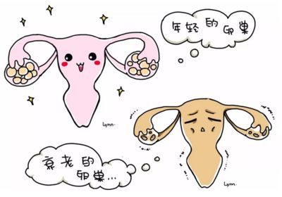 内江试管代怀孕机构