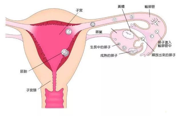 兰州结扎手术医院