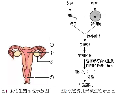 兰州捐卵咨询