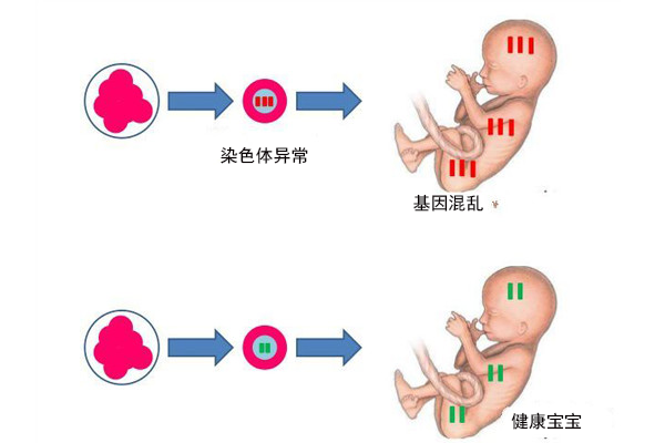 兰州试管代怀孕机构