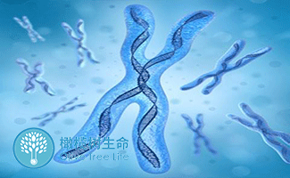 兰州助孕中心