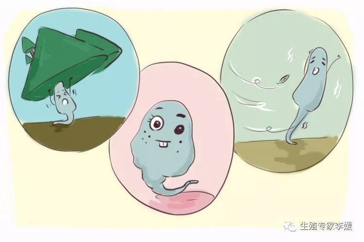 输卵管手术